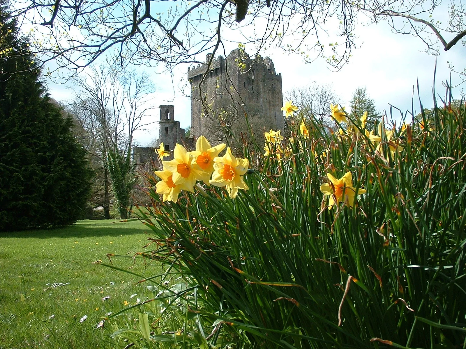 Springtime at blarney castle